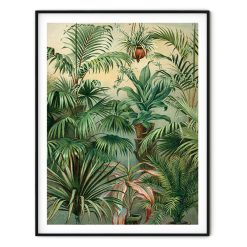 TAVLA - VINTAGE PLANTS N.1