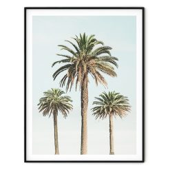 3 PALMIERS VINTAGE