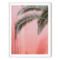 PALM ON PINK N.2