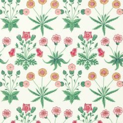 Daisy - Strawberry Fields