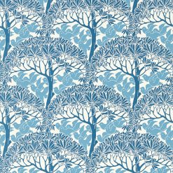 The Savaric - Cirrus