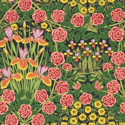 Campanula - Sunburst/Ebony